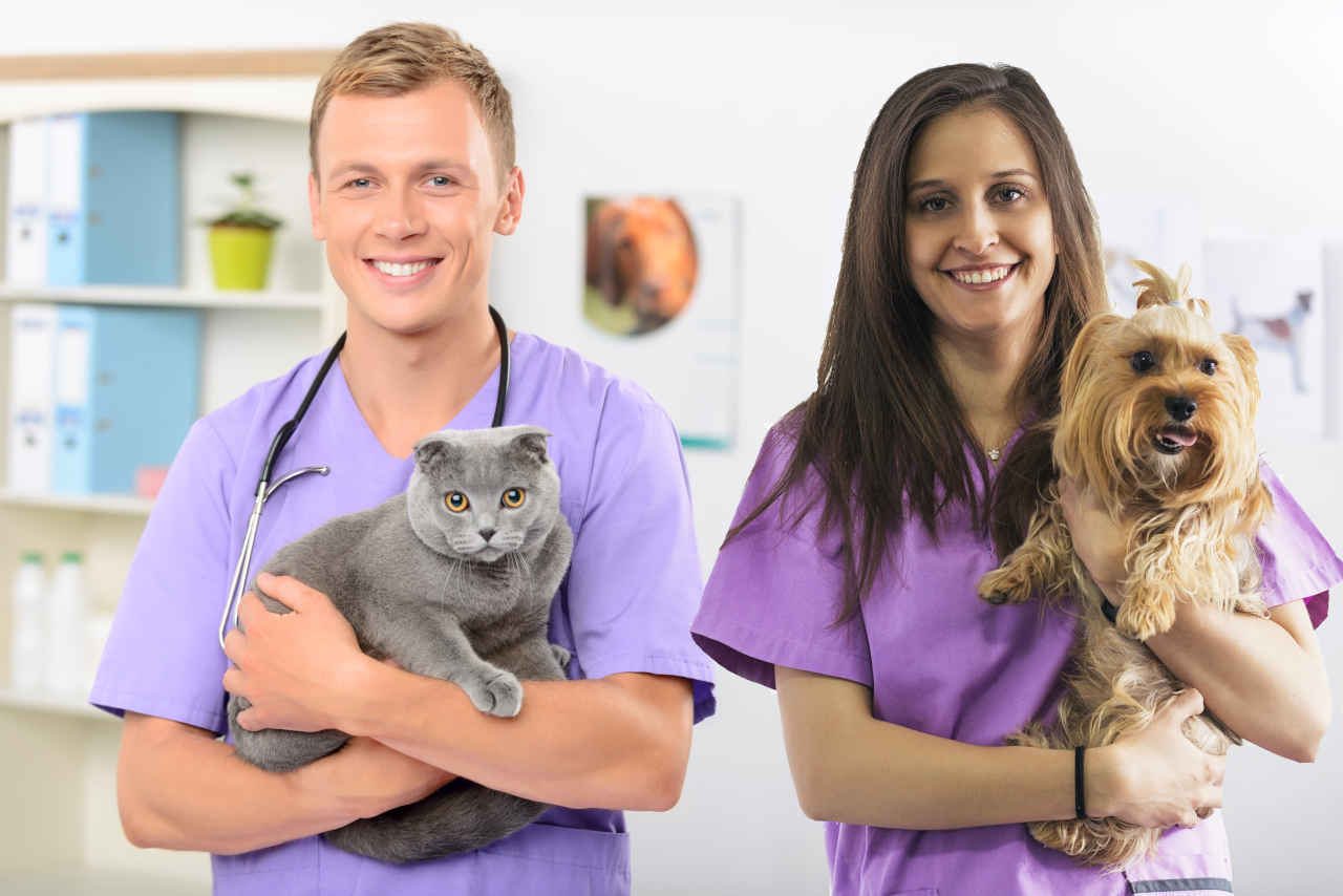 Holiday Vet - Relief veterinarian recruitment with a personal touch